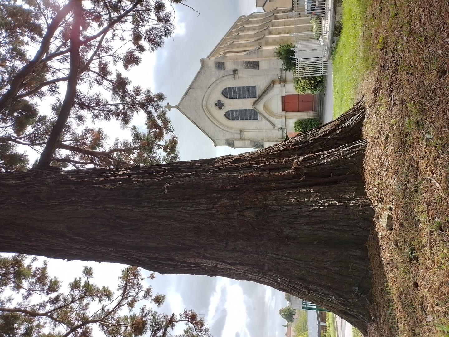 Chapelle de la Miséricorde de Mamers
