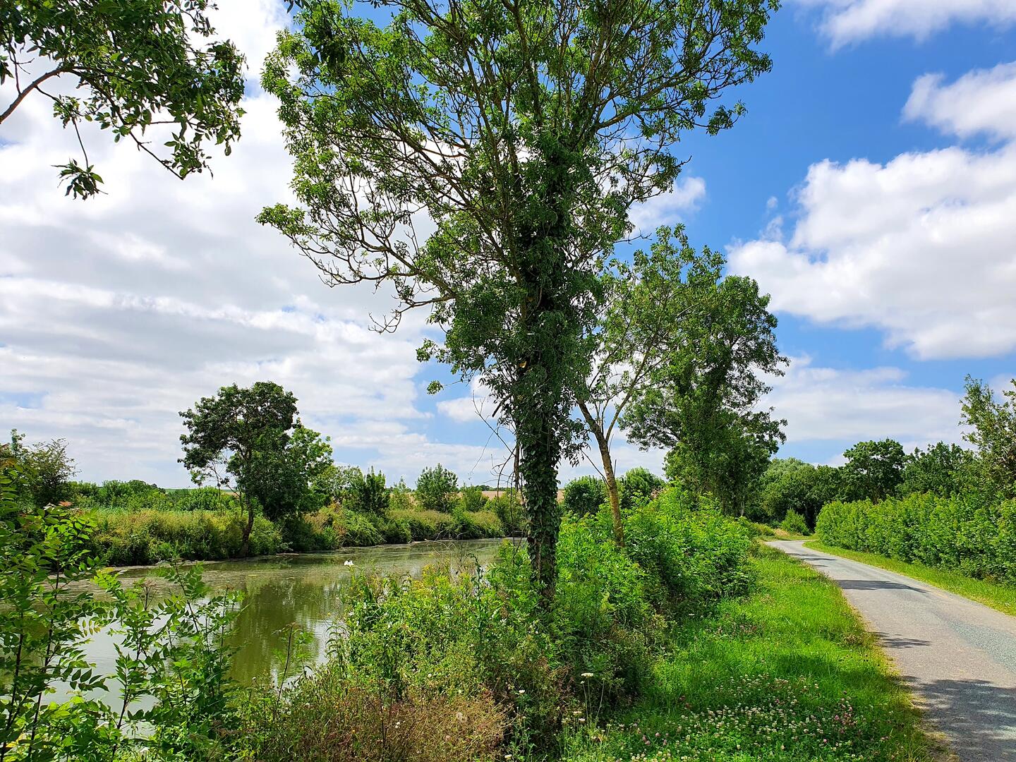 vélo-les-voies-velluire