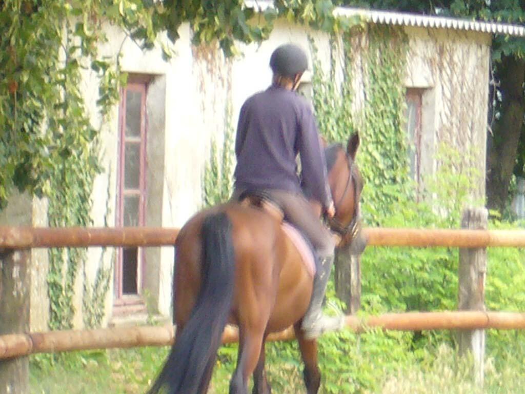 ASC-centreequestre-11