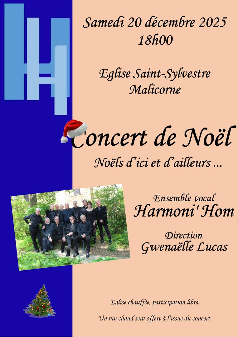 Affiche Noel 2025 Malicorne (1)_page-0001