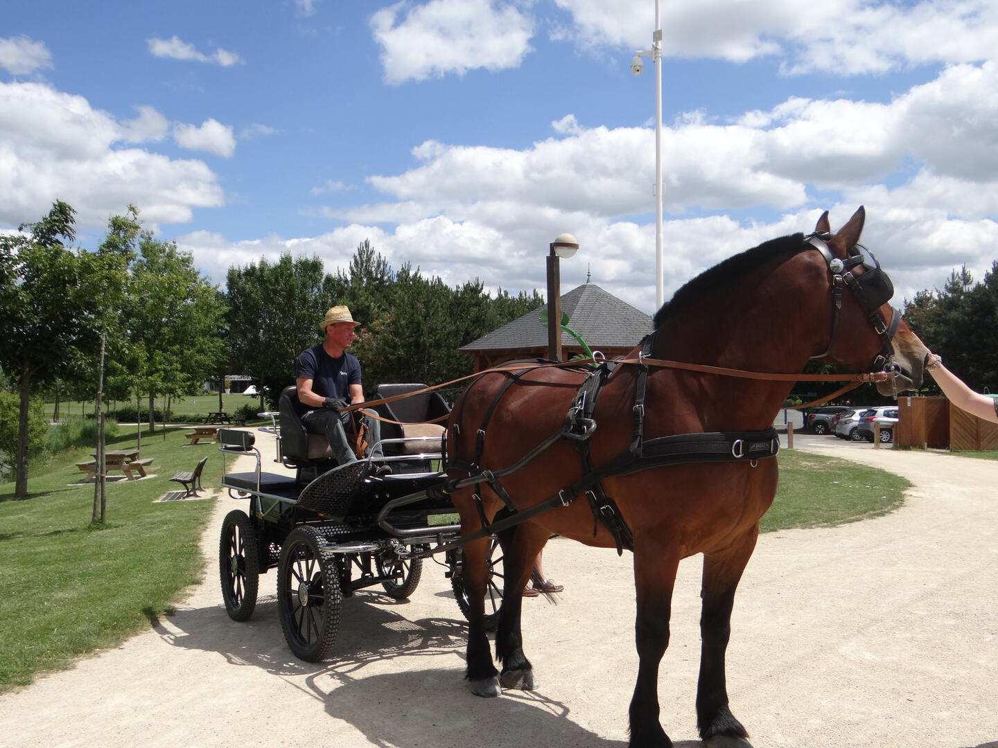 Balade-cheval-Caleche-Loretaine