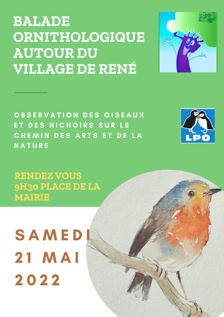 Balade ornitho René