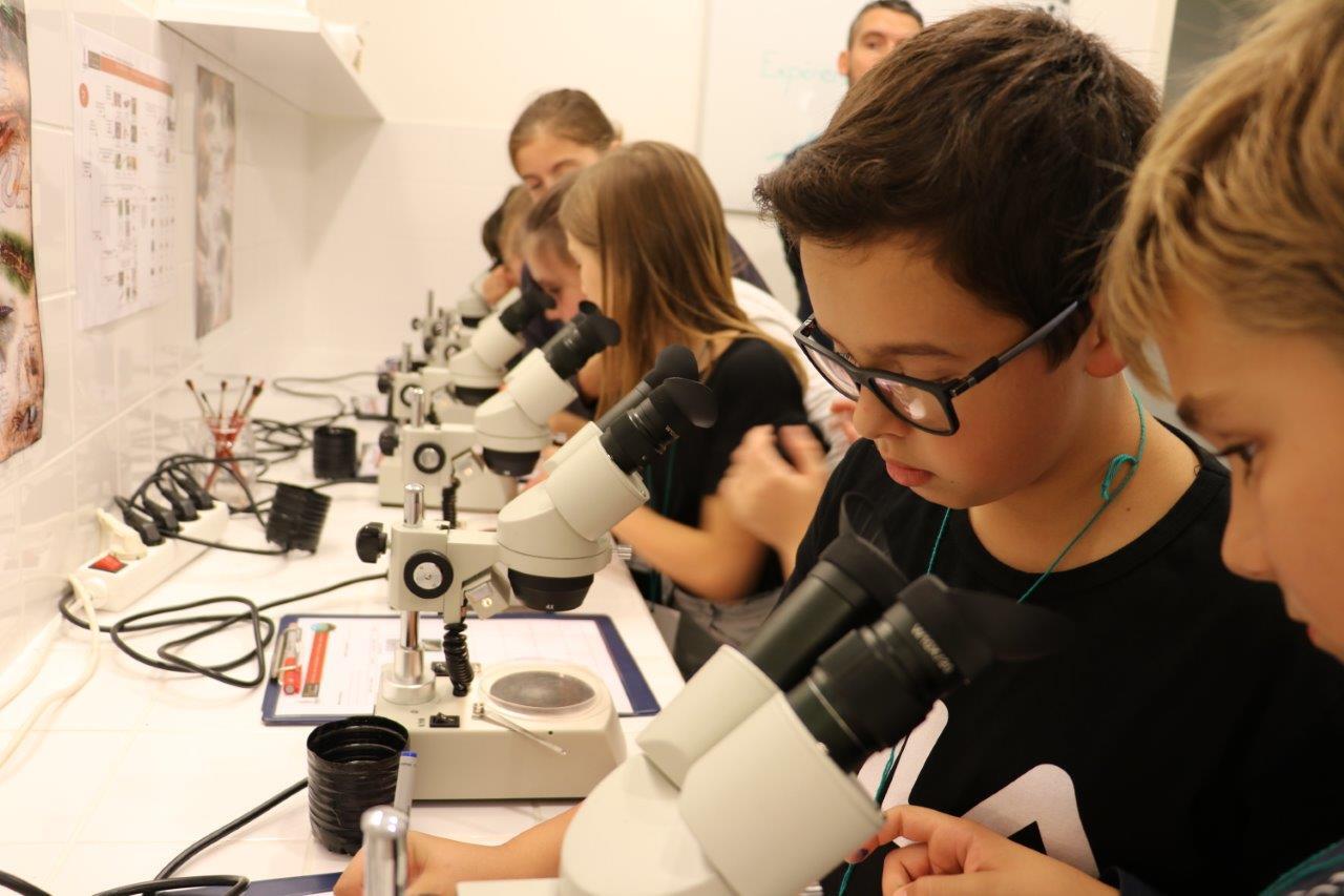 CD85_Fete de la science RBD 2018 (2)