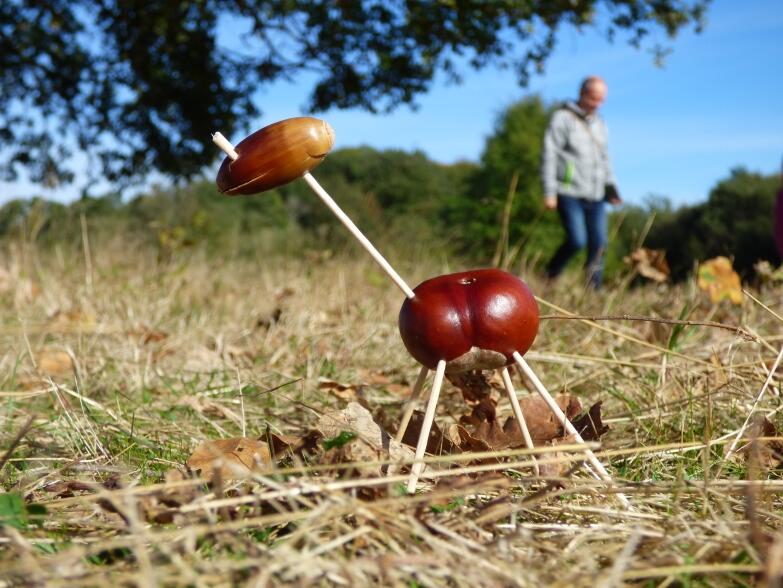 CD85_petits-jeux-automne (2)