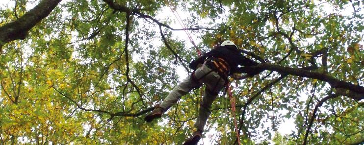 Les_Petites_Pépites_de_l'Automne-49-FMA-photo2