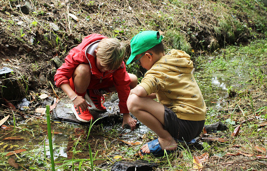 RDVN-exploration-nature-25