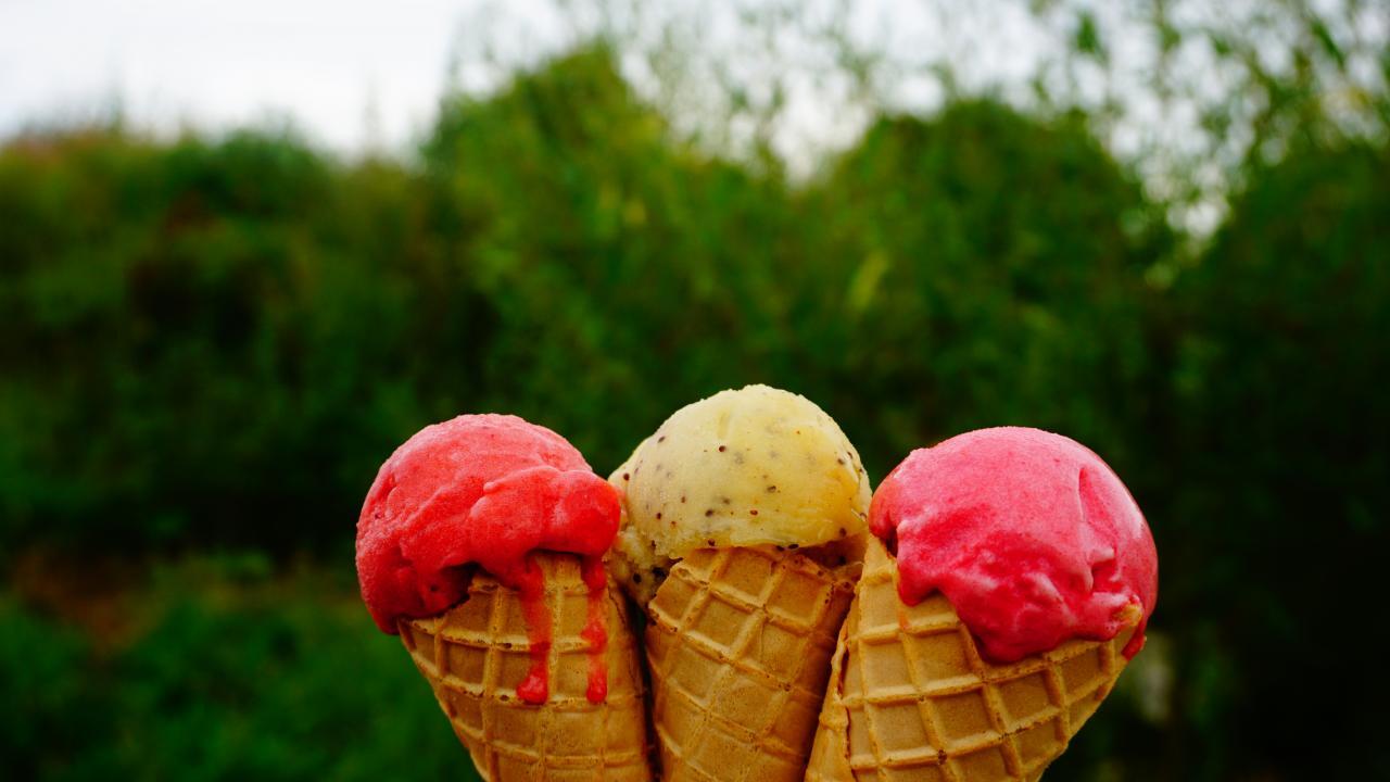 maxifruit-deg-champigné-49