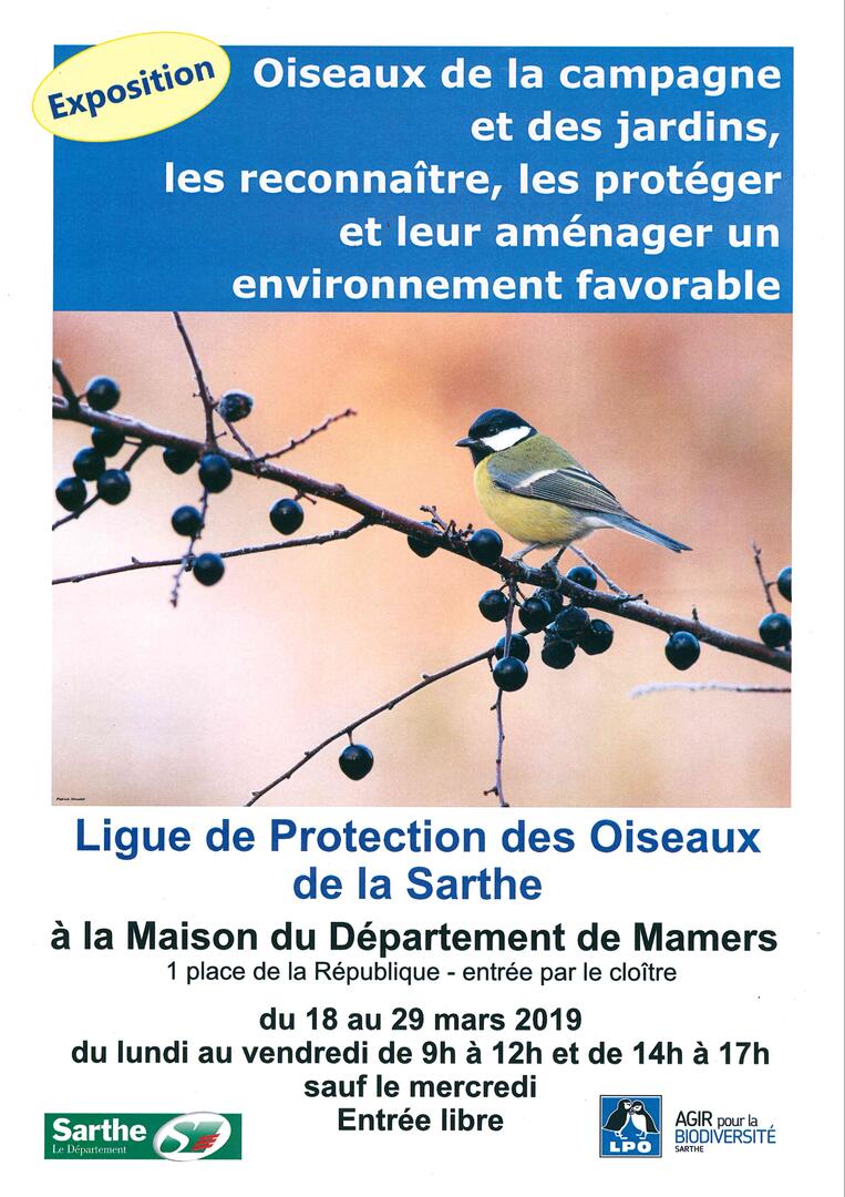 Expo oiseaux