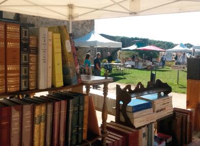 FMA53 - 5ème fête du livre au Château de Sainte-Suzanne