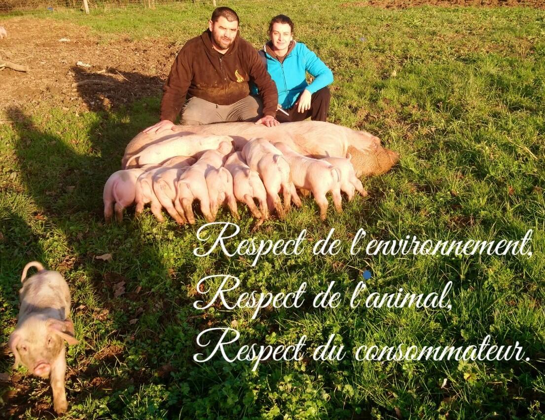 ferme-cochons-antan-Lege-44-deg-1