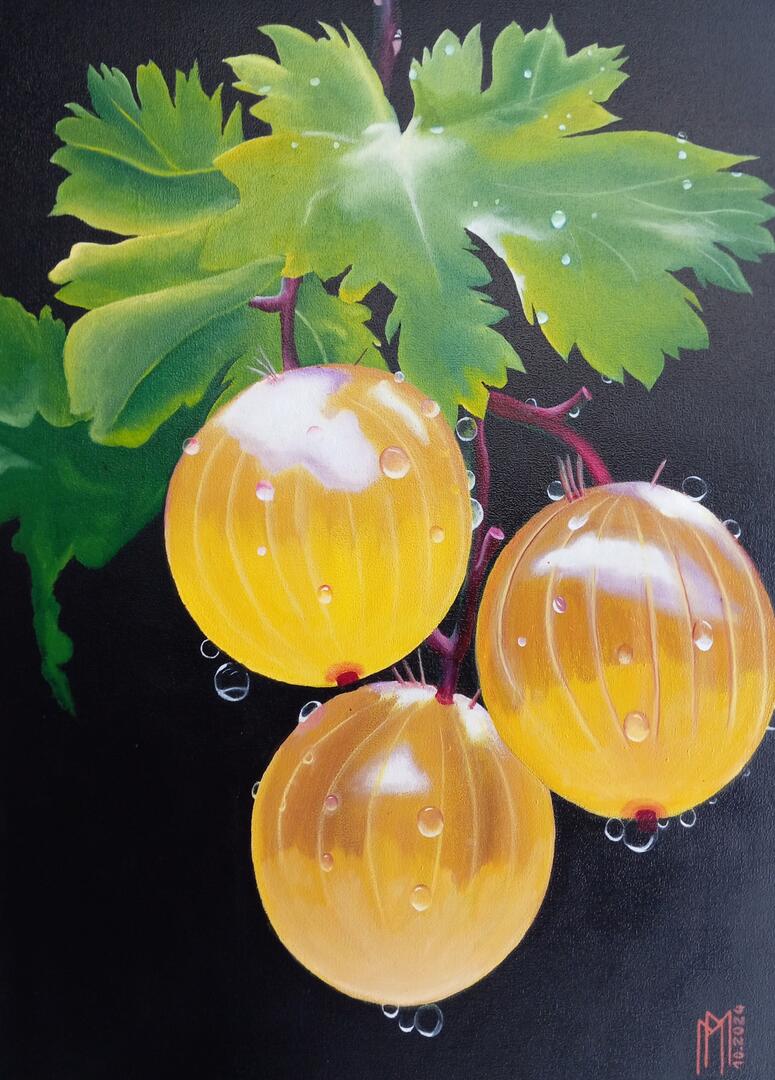 Groseilles à maquereau