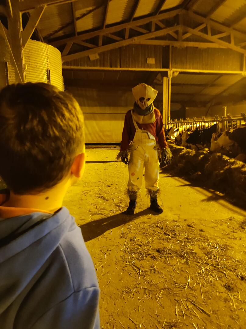 Halloween à la ferme