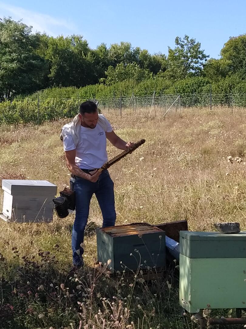 Pascal Foucher, apiculteur et propriétaire du Musée de l'Abeille