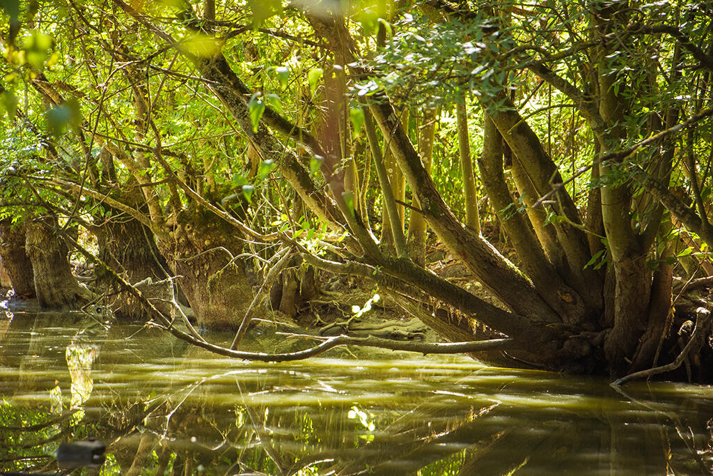 Communal-les Magnils Reigniers-photo canal