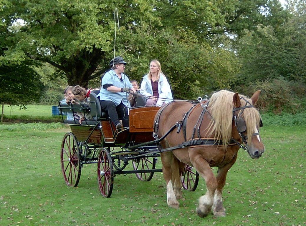LOI49-relais-equestre-la-nonjarry
