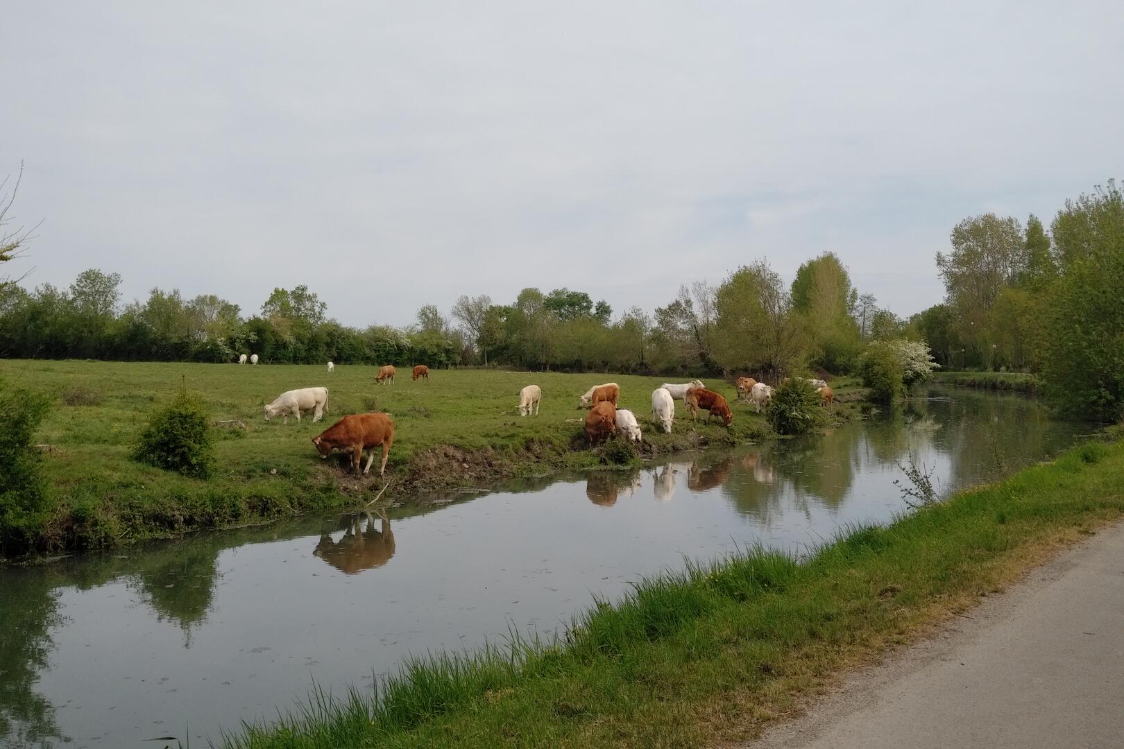 Aire de pique-nique au bord de la Sèvre