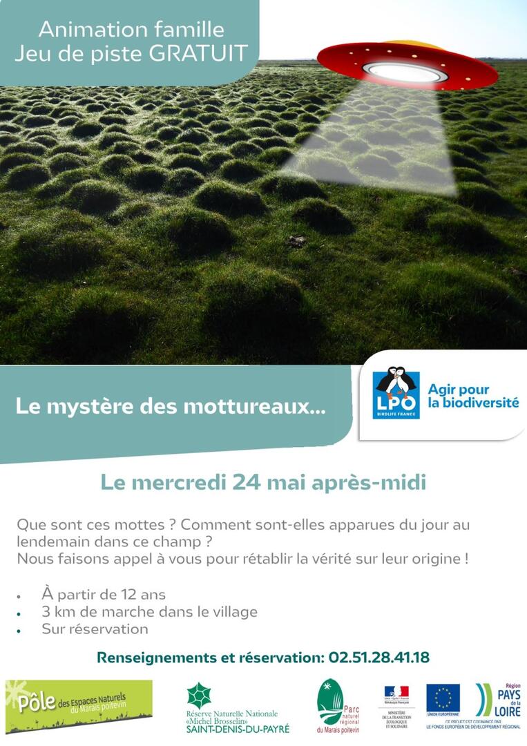 Le mystère des mottureaux