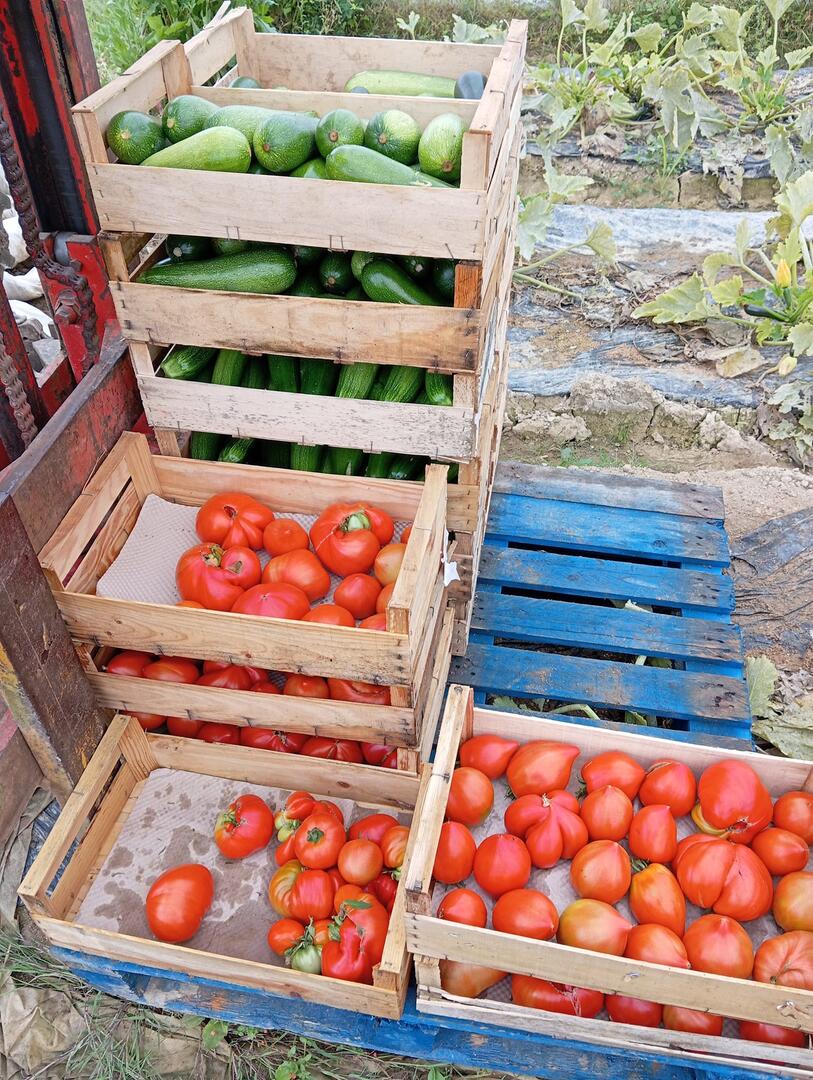Légumes