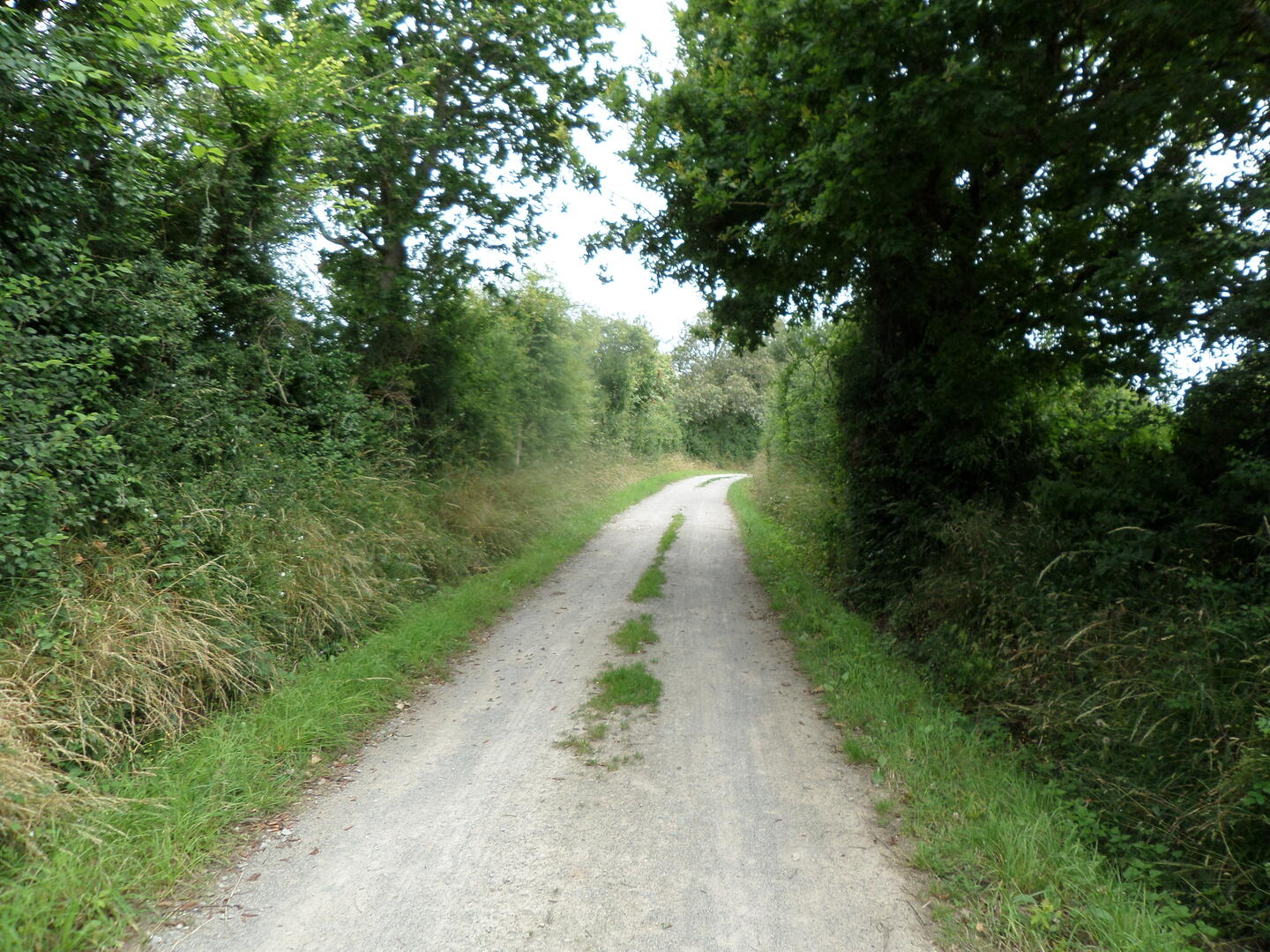 Les coteaux maritimes_Saint-Nazaire