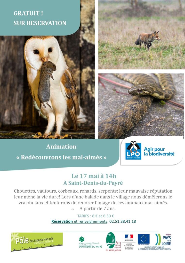 Les mal aimés
