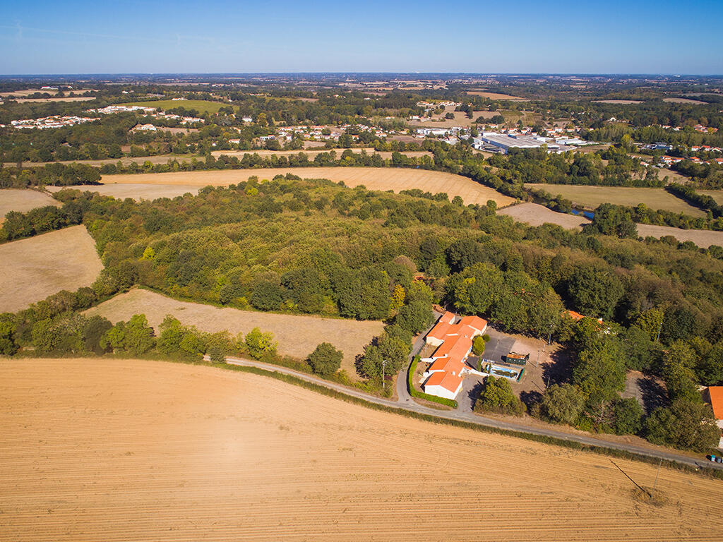 Bois de l'Epault - Mareuil-sur-Lay-Dissais - Vue aérienne du bois de l'épault