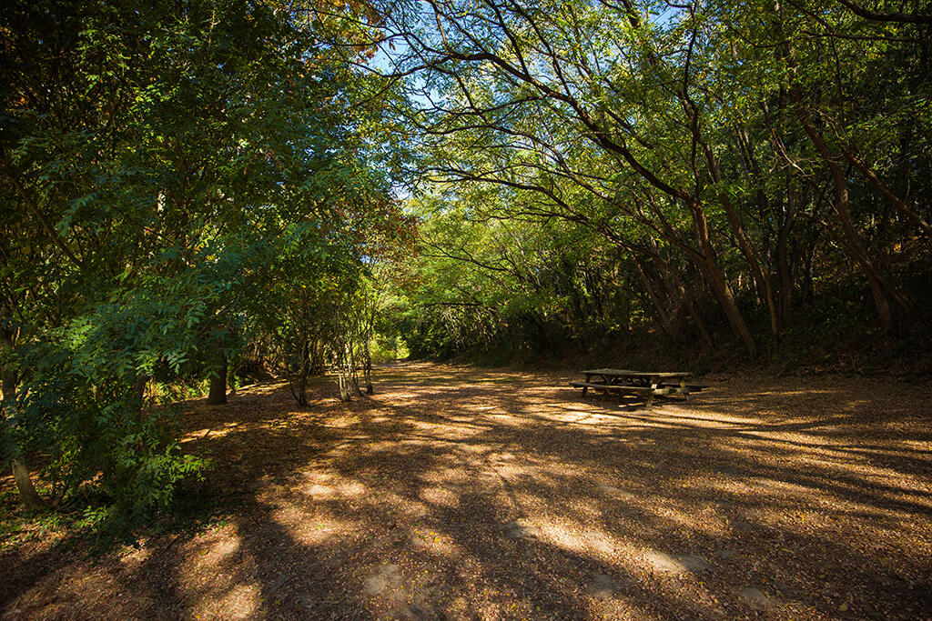 Aire de pique-nique - le Bois des Tours - Mareuil-sur-Lay-Dissais -pique nique