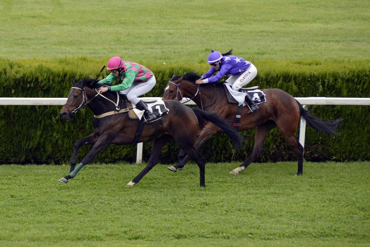 COURSES HIPPIQUES1