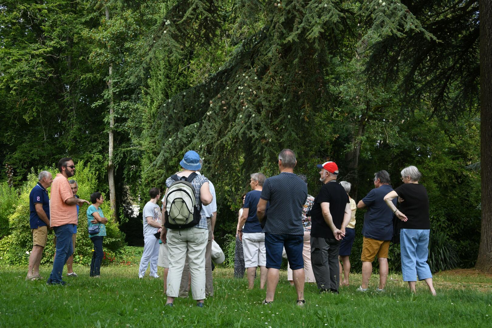 Mamers C. E. Tour ©J-L Dugast E0055