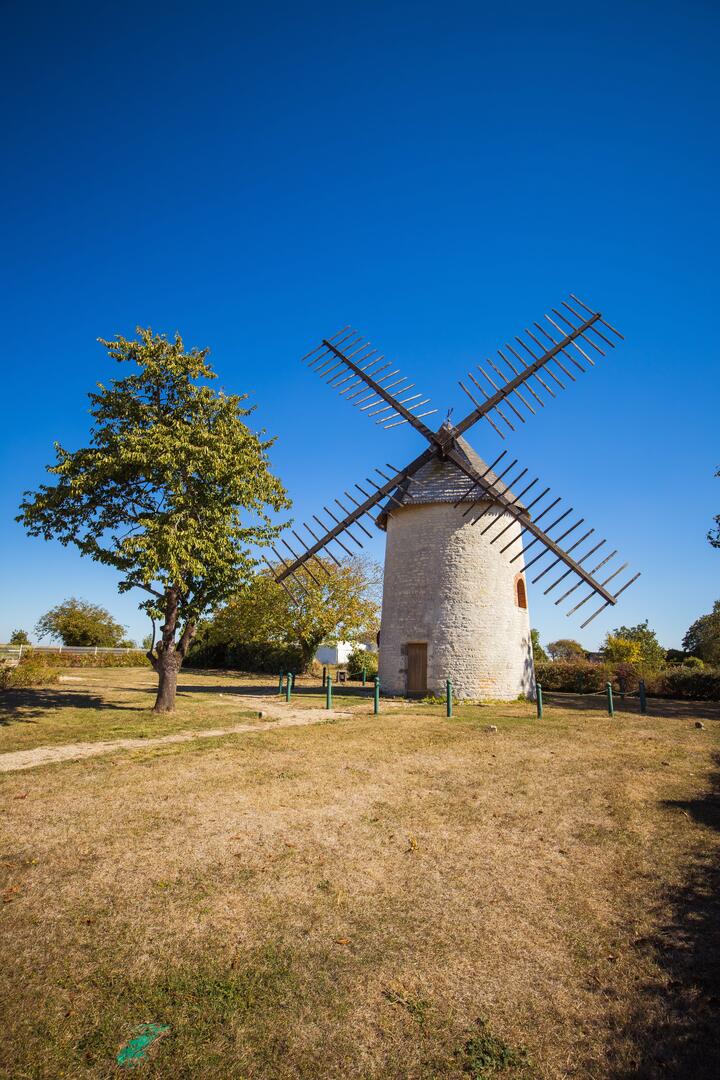 NALLIERS MOULIN DU CHAMP DE LA TRUIE