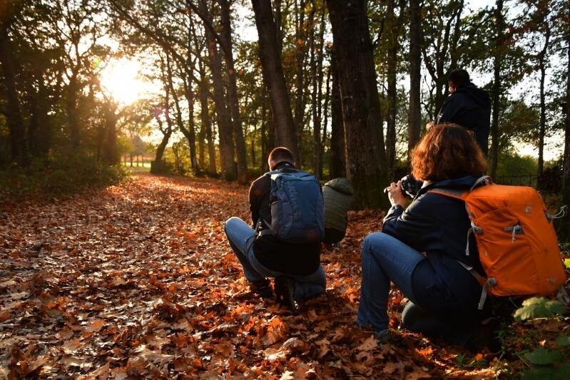 P.TRECUL_photo_automne