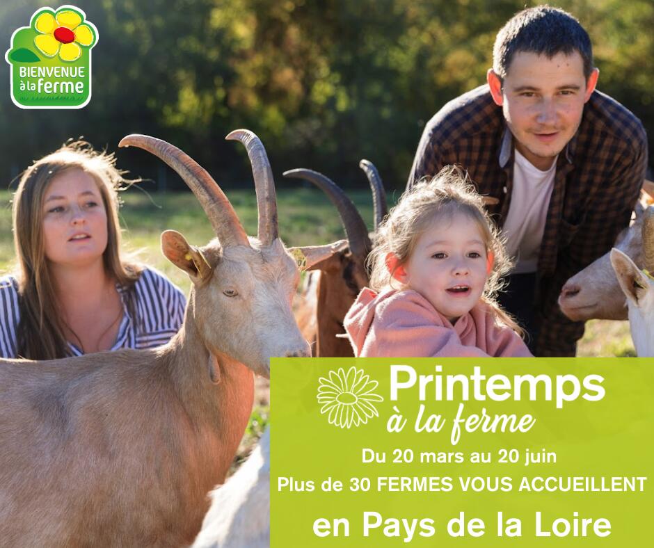 PRINTEMPS BAF - Facebook Post - 1