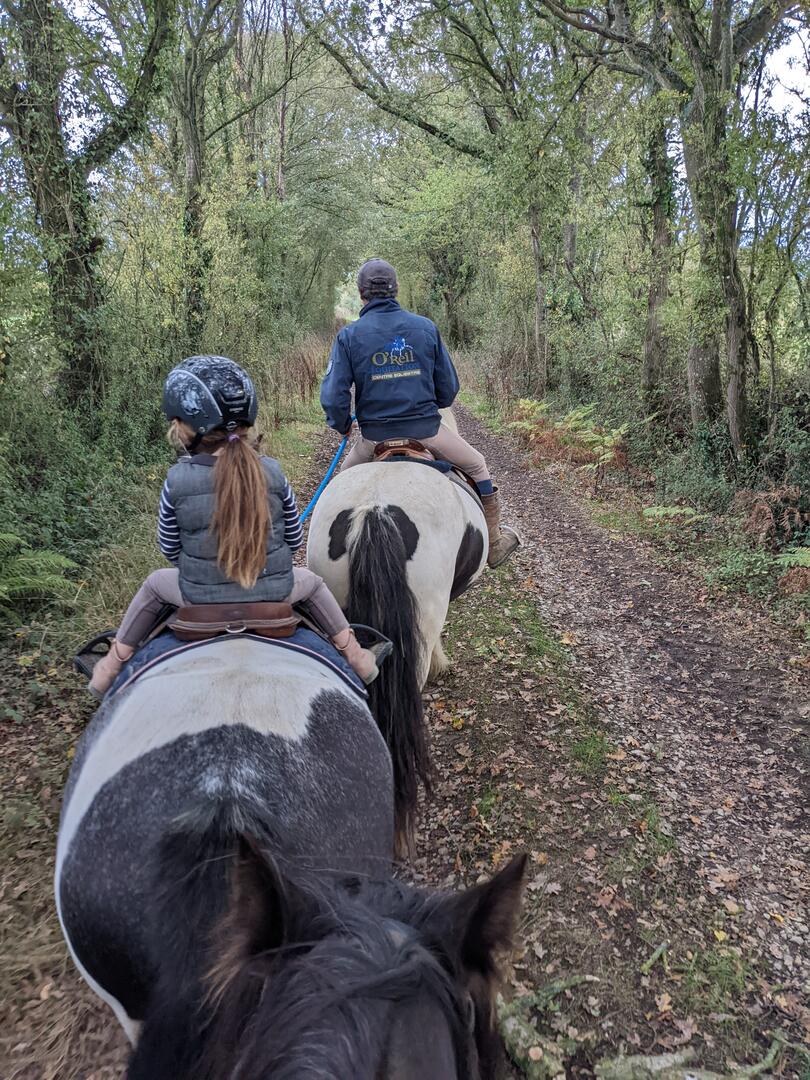 Equitation Promenade Oreil équitation