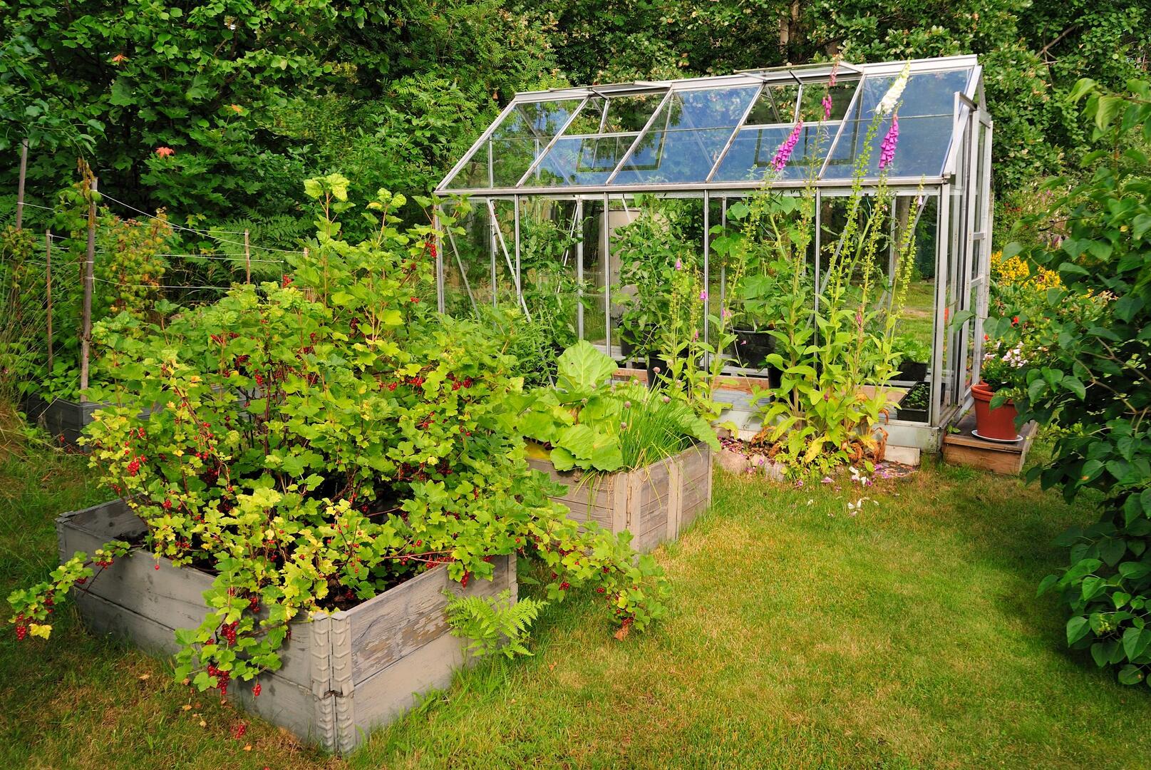 Permaculture-la-nature-reprend-ses-droits-au-potager
