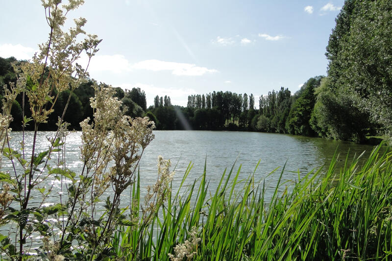 Plan-d-eau-Change