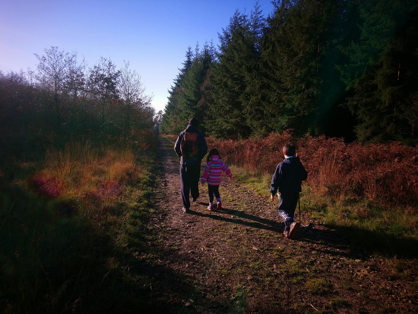 Randonnée - Famille en forêt en automne