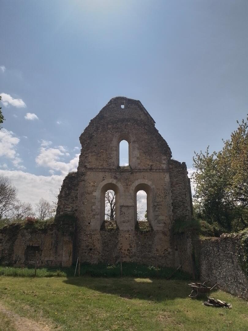 Ruine de Perseigne (1)