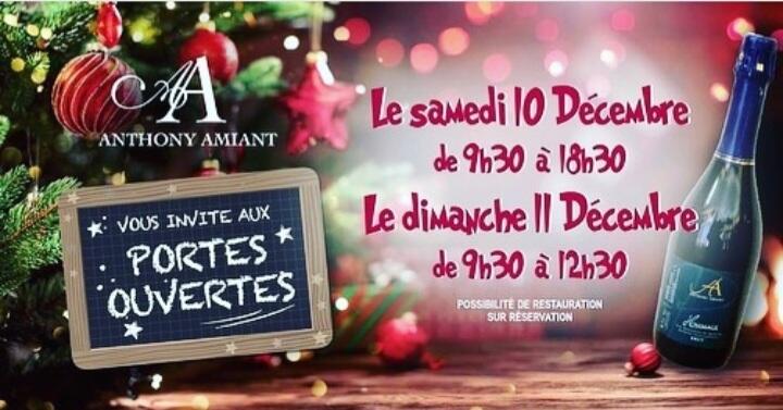 porte-ouverte-anthony-amiant-saint-mars-de-coutais-44-fma-1