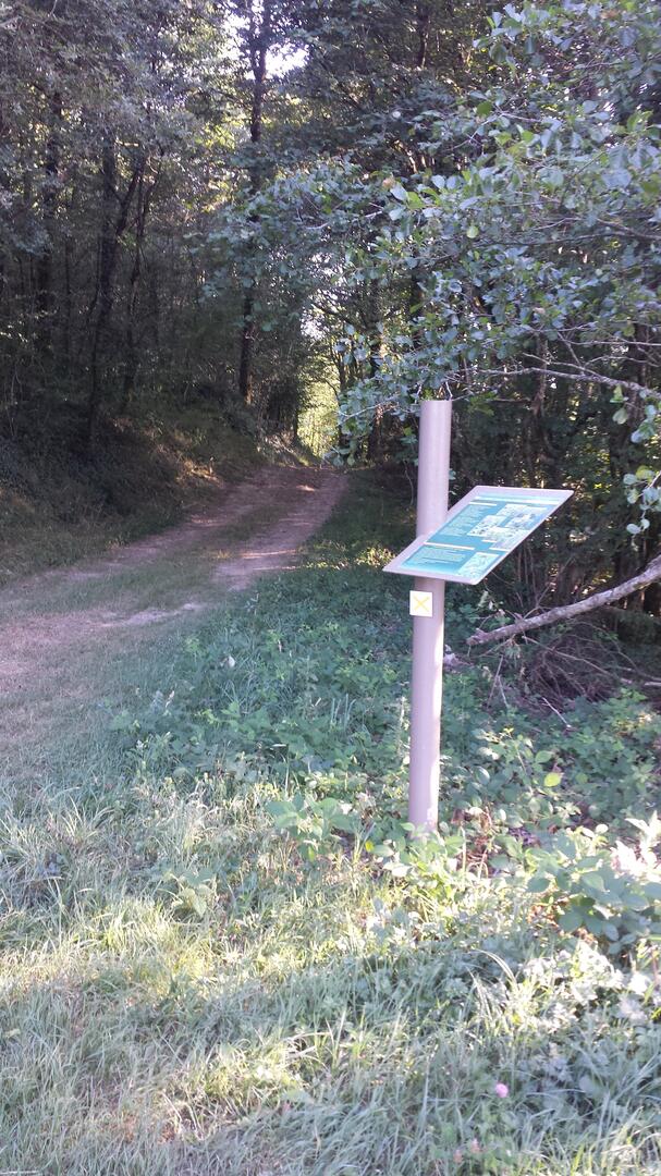 Sentier des Dortières - Loge Fougereuse - 85