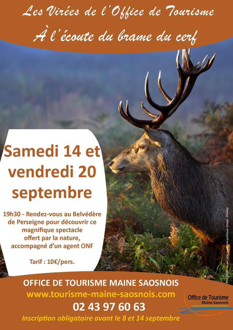 Sorties-Brame