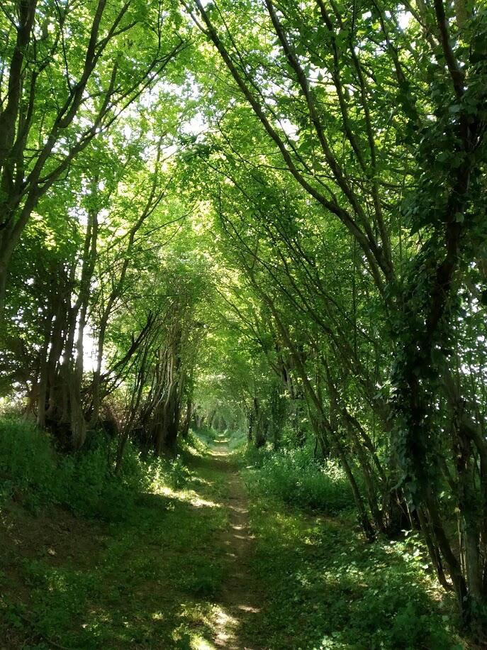 Sur les chemins couverts de Monhoudou