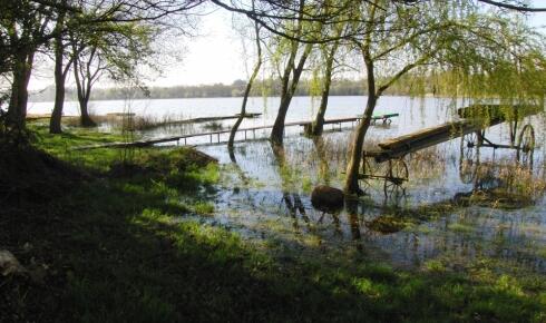 Sur les pas du pêcheur huppé