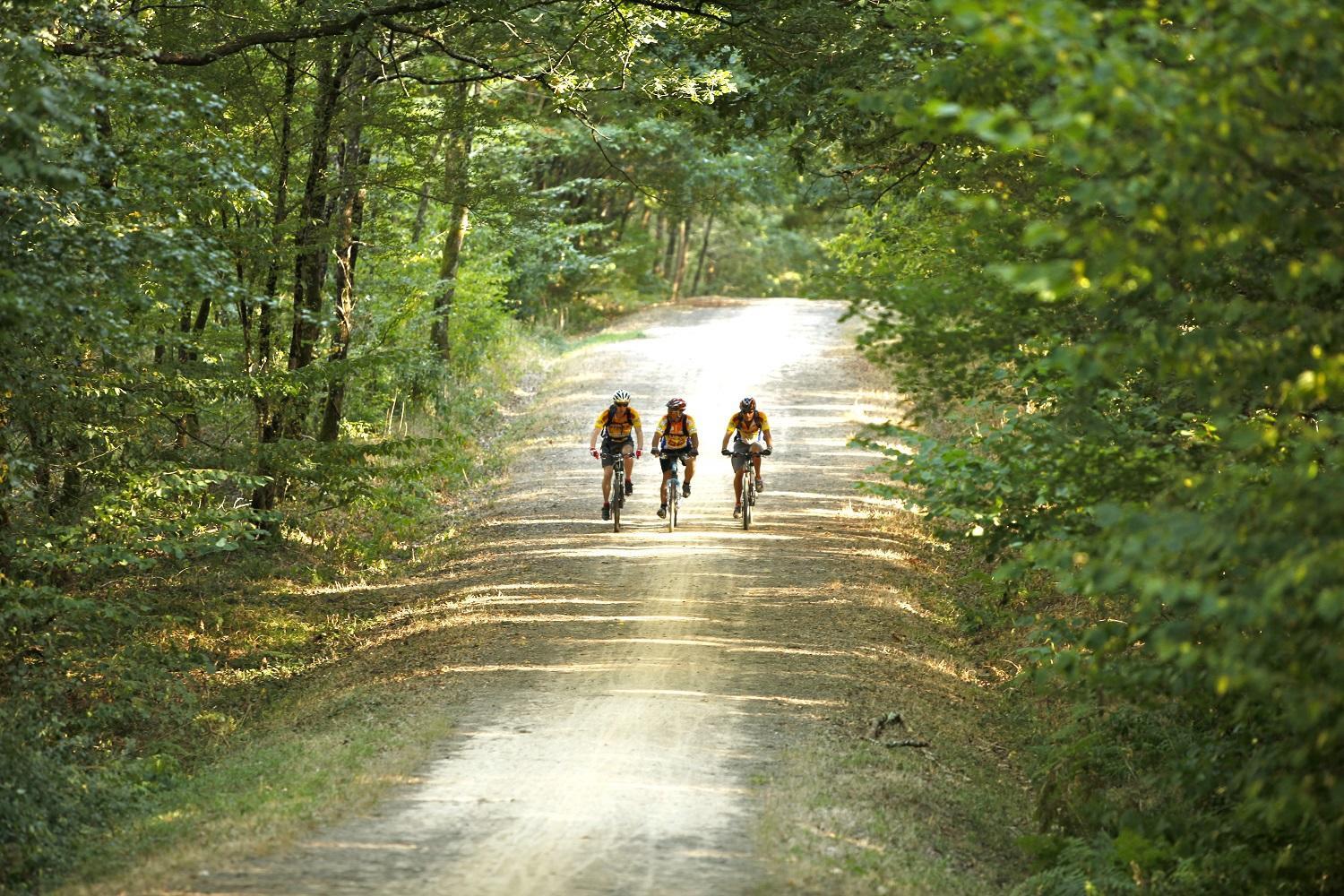 VTT Mervent