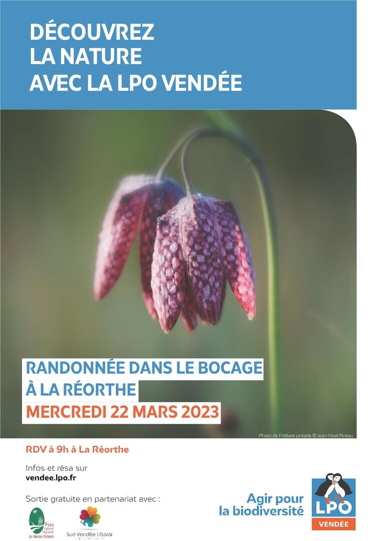 LPO 85-La Réorthe- Affiche sortie nature22/03-fritillaire pintade