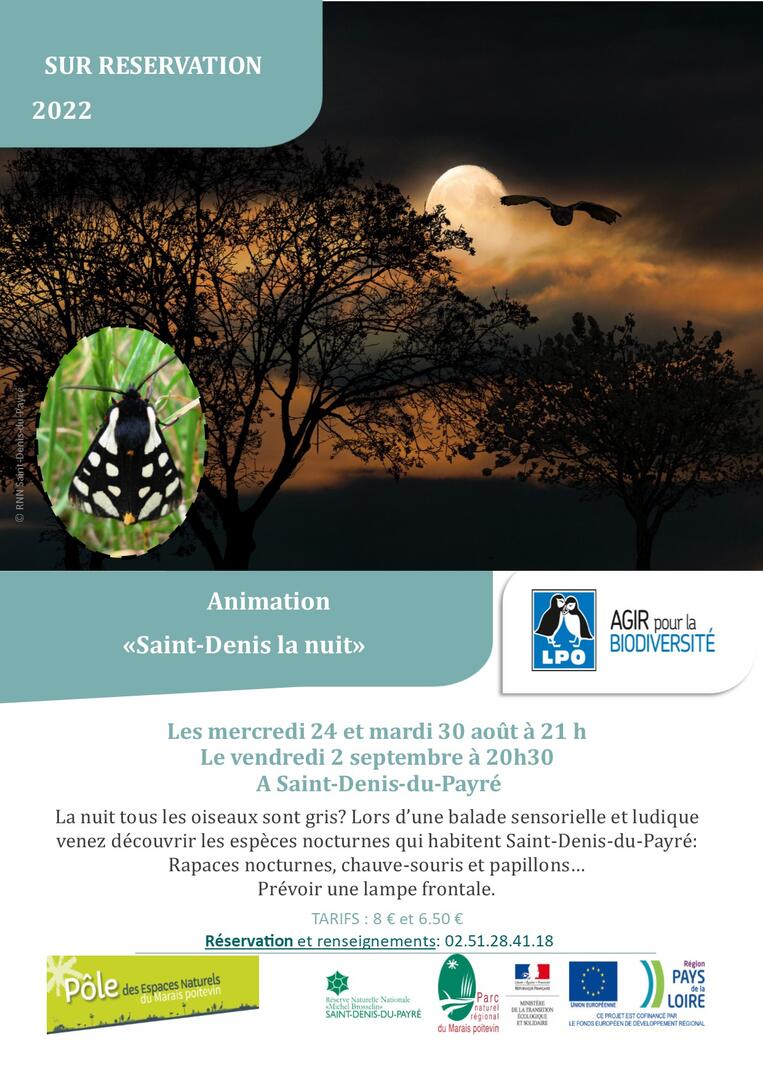 affiche St Denis la nuit août sept2022