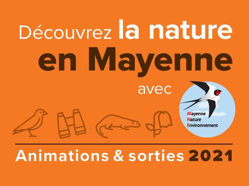 animationsetsortiesmne2021-mayenne-fma-53