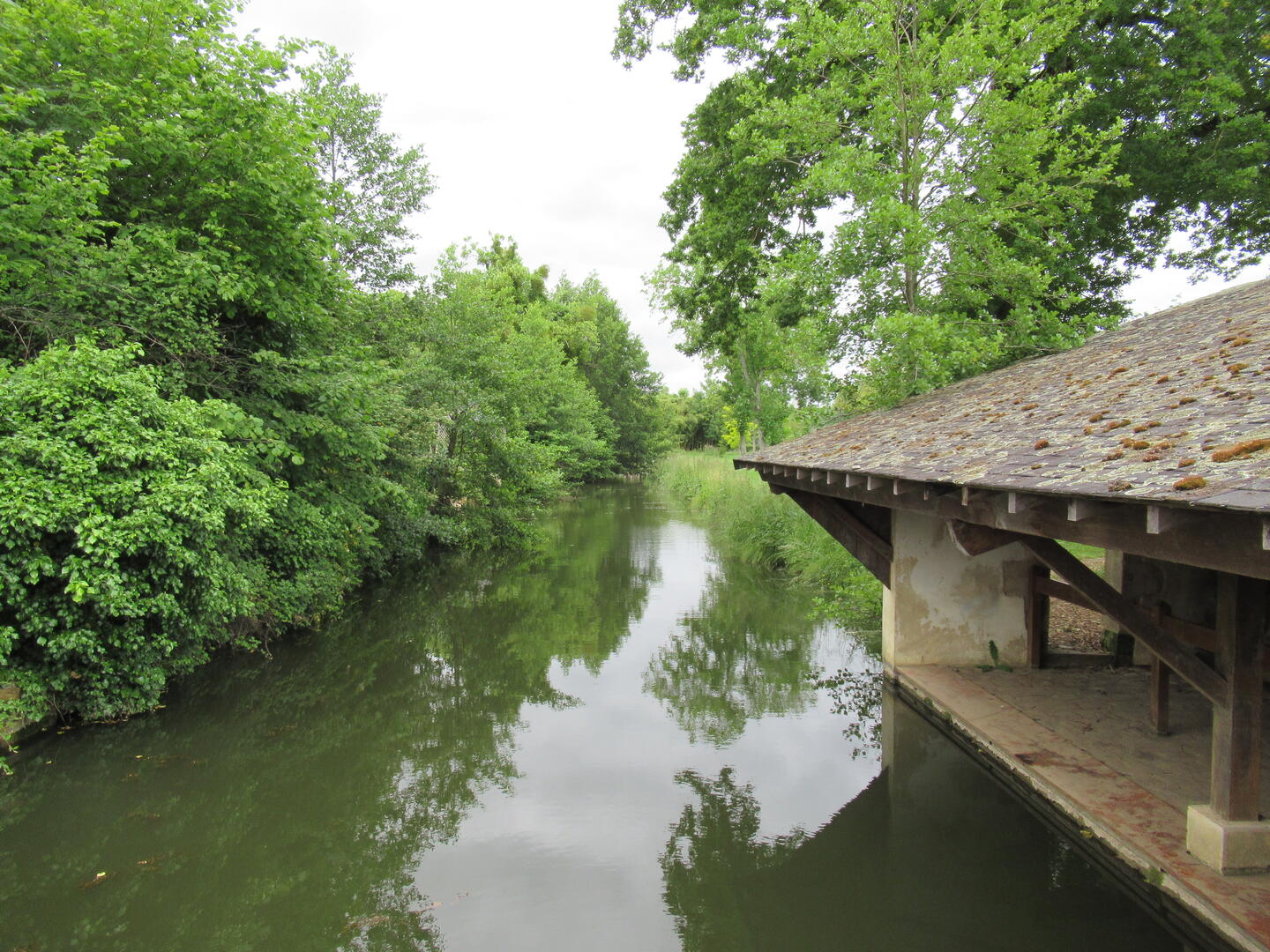 Au bord du Tripoulin à Bonnétable