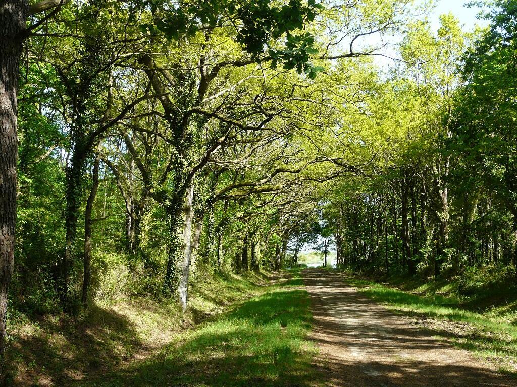 circuit-bois-charette-saint-mars-de-coutais-44-iti-1