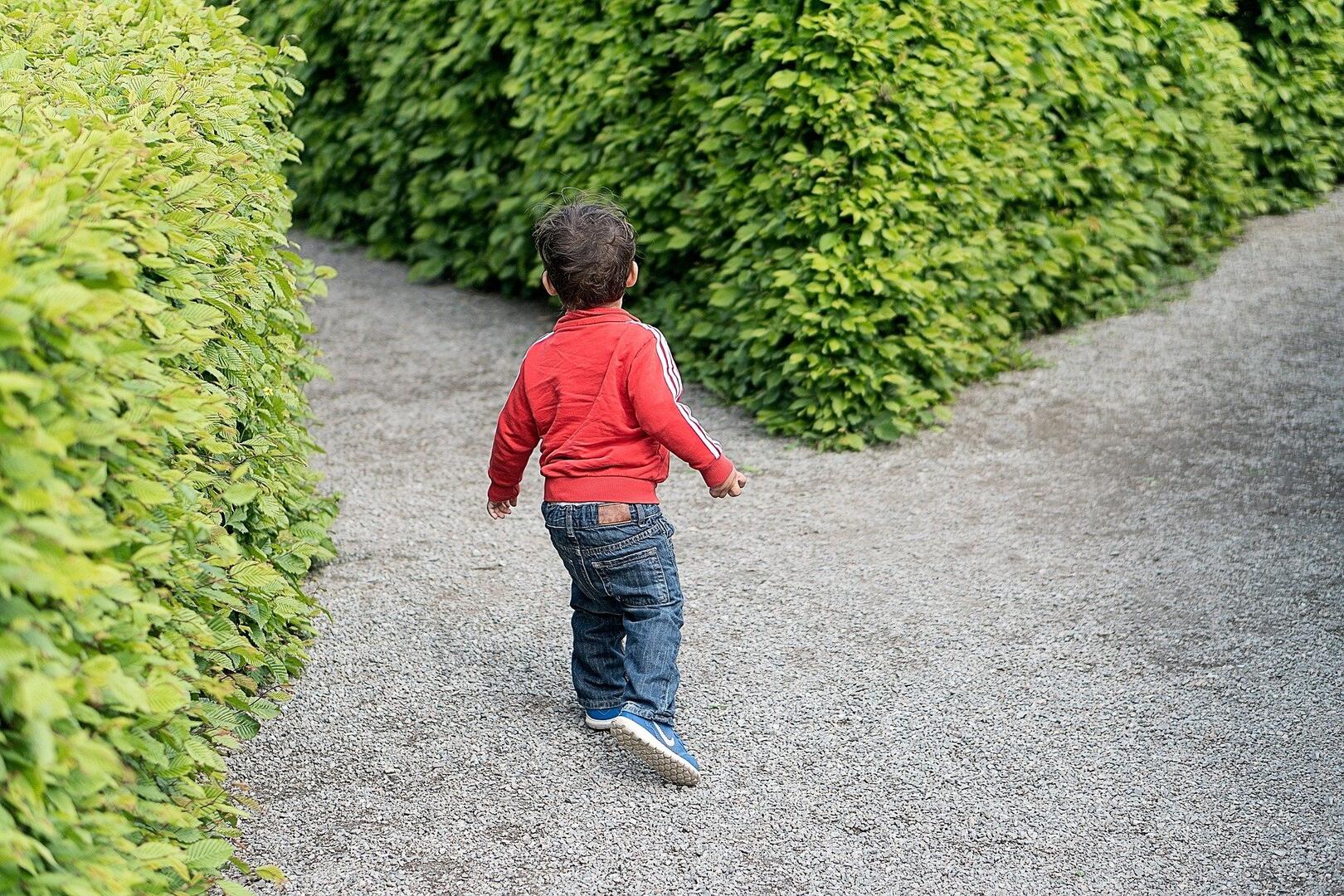 labyrinthe végétal - illustration