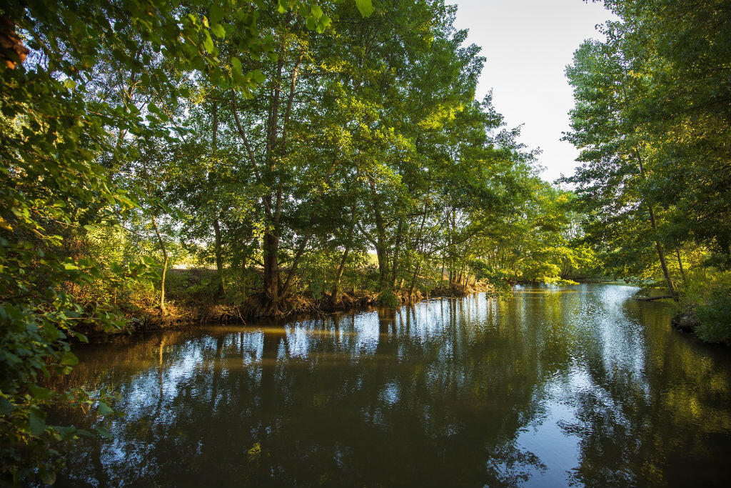 sentier-Les marais-La Couture-Vue rivière le Lay