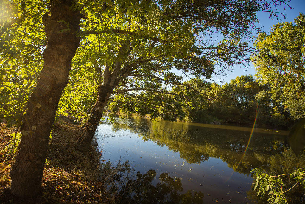 sentier-Ile de-la-bretonnière-La Bretonnière-la-Claye- Vue rivière le Lay